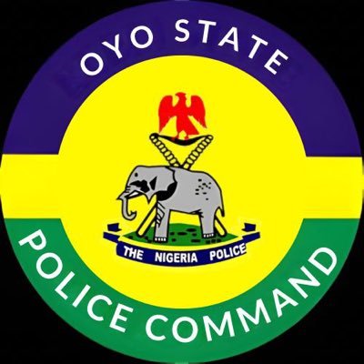 Oyo State Police debunk claims of a schoolchild’s death during the recent Oyo abduction, assuring the public that all children are safe and rescue efforts

Read More: https://punchng.com/oyo-abduction-no-schoolchild-died-in-capitivity-police/