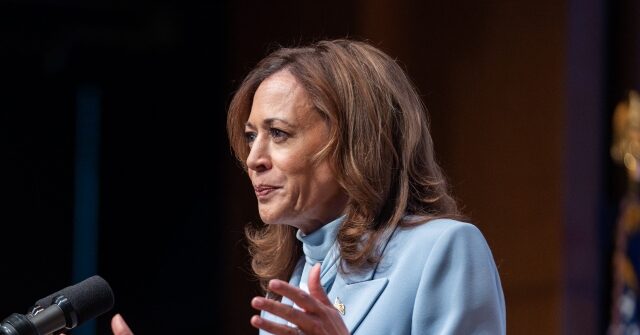 Unsuccessful 2024 Democrat presidential candidate Kamala Harris says the word “hope” should be “changed to a verb.” One problem with that. It already is.
The post Video: Kamala Harris Says Hope Should Be a Verb, Even Though It Already Is appeared first on Bre…