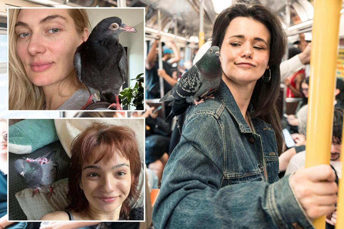 These pigeon-girl pairs are birds of a feather.