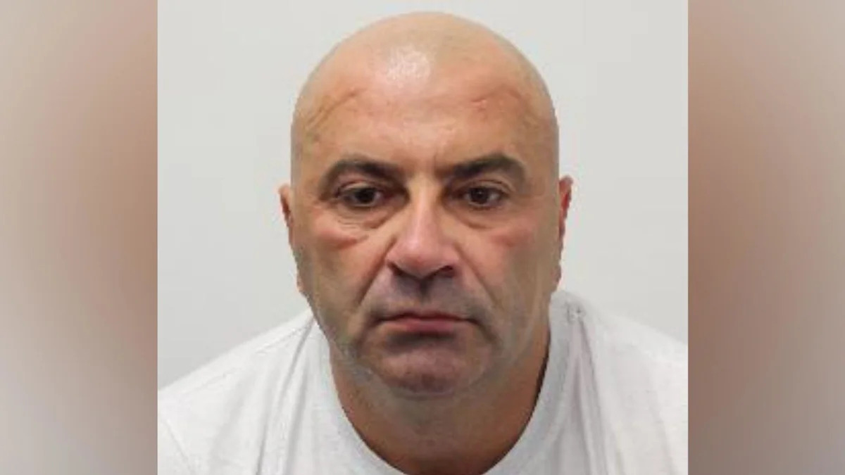 Bernadin Dedic, who was convicted in his absence of rape and sexual assault, says he tried to warn prison staff he should not be released.